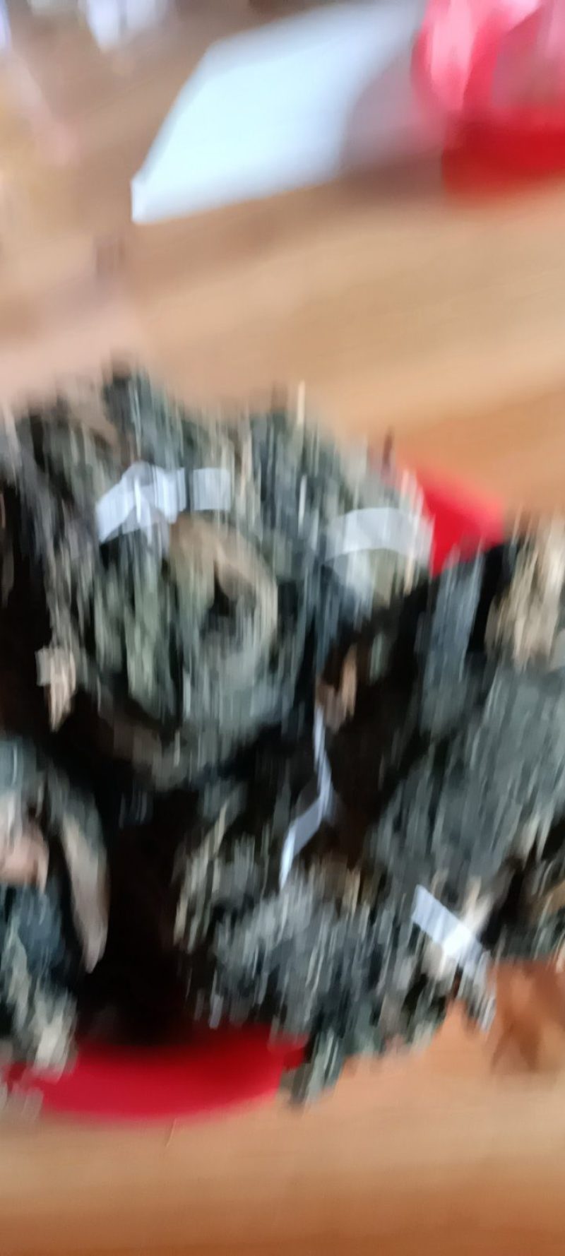 农家自种的新鲜海带，质量好，1斤一件包邮。