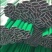 种植大棚养殖大棚水产大棚温室大棚联动大棚玻璃温室