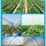 种植大棚养殖大棚水产大棚温室大棚联动大棚玻璃温室