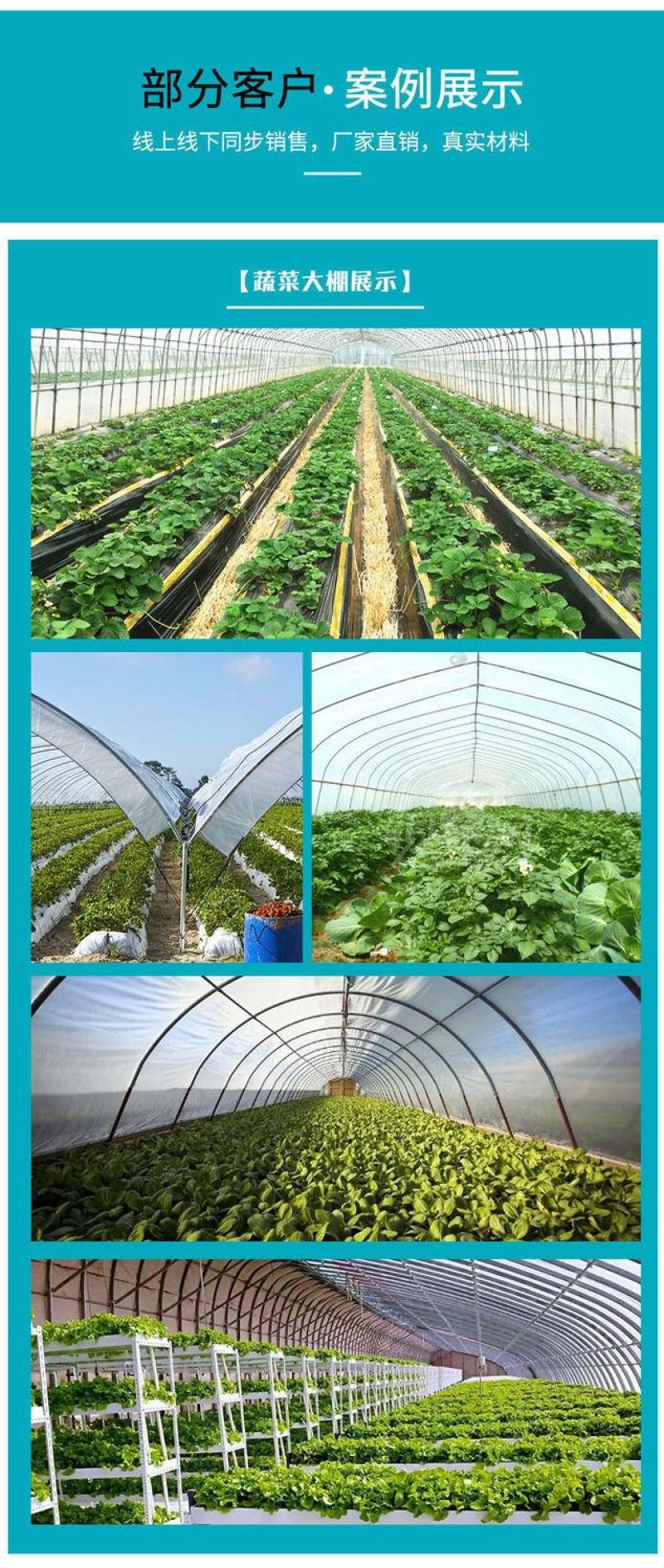 种植大棚养殖大棚水产大棚温室大棚联动大棚玻璃温室