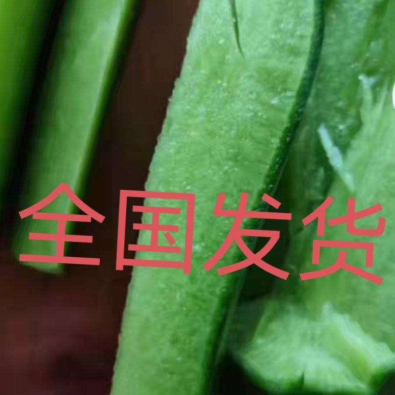 山东袋，箱装水果萝卜菜萝卜精品货大量，无康无烂电商超市！