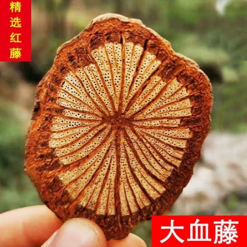 红藤，大红藤，大血藤，新货药味重，产地直供道地药材批发零