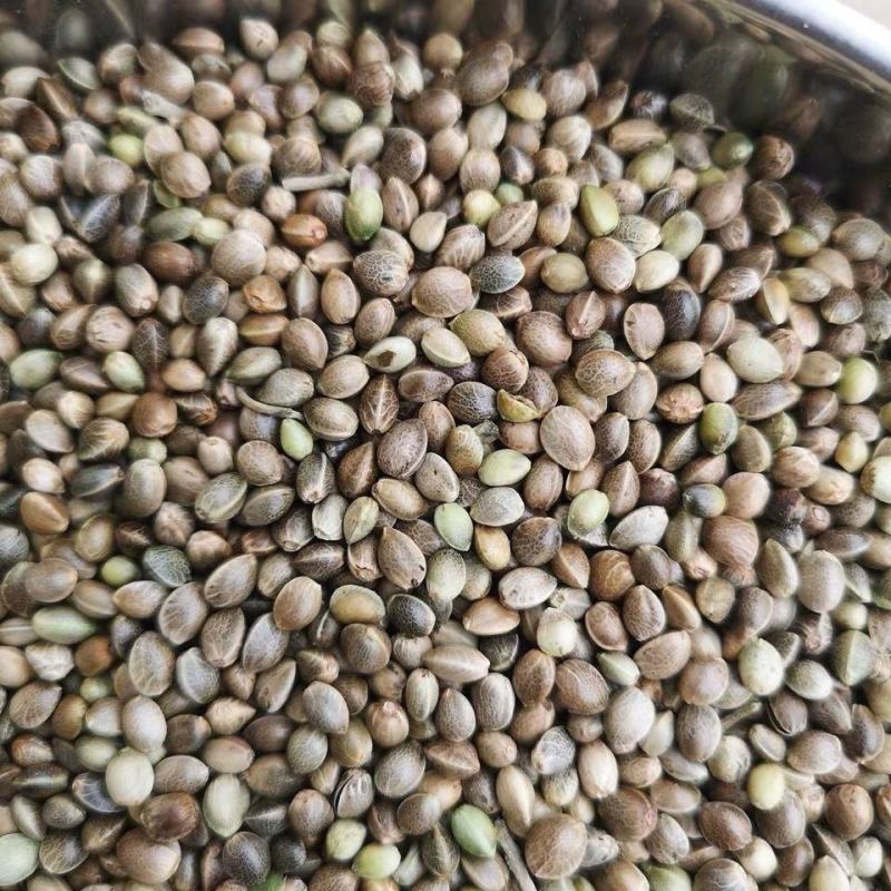 火麻仁，道地药材，药典标准，质优价实，支持线上交易保障