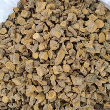 药用根黄