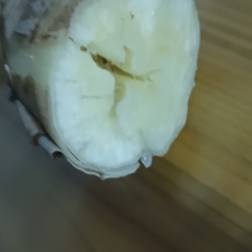 面包木薯（白）有大概三千斤。