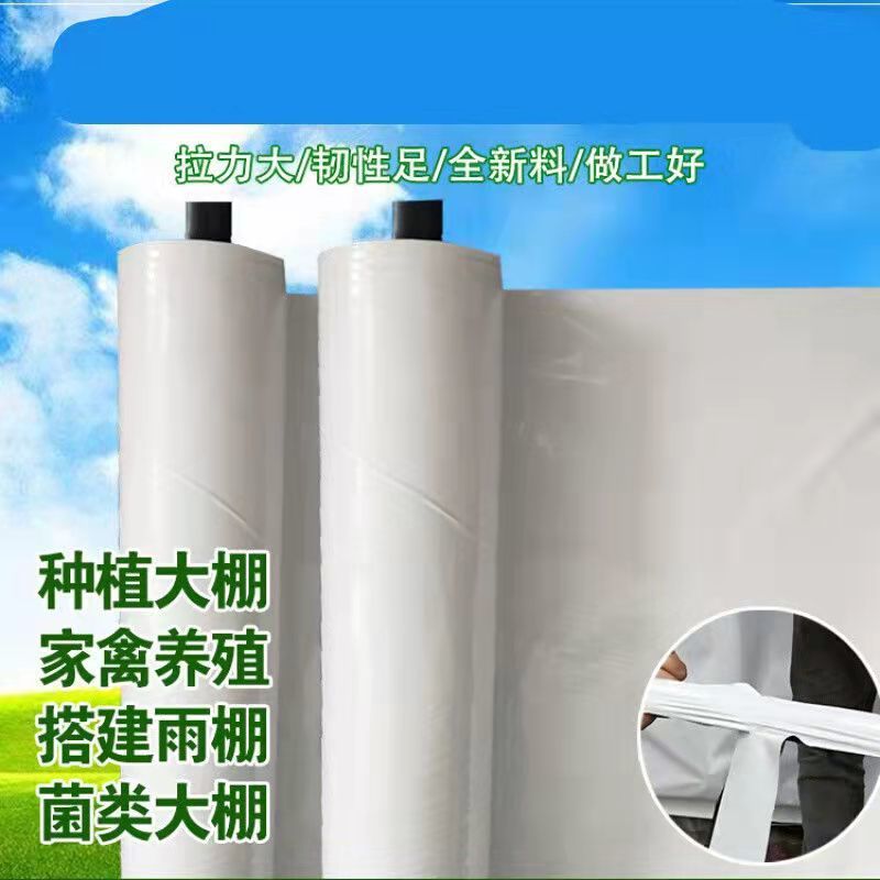 进口大棚黑白膜隔热养殖食用菌大棚防晒加厚反光遮阳保温养鸡