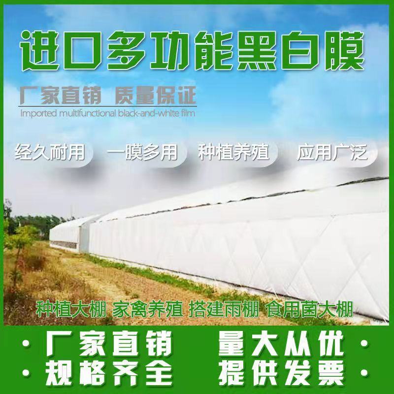 进口大棚黑白膜隔热养殖食用菌大棚防晒加厚反光遮阳保温养鸡