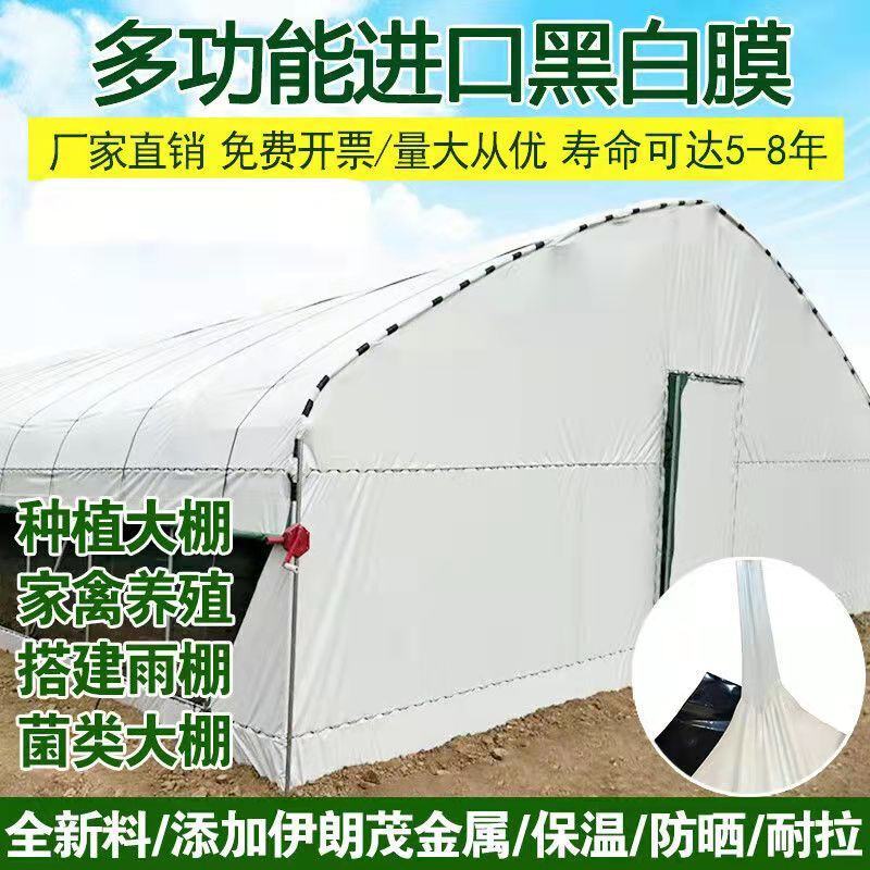 进口大棚黑白膜隔热养殖食用菌大棚防晒加厚反光遮阳保温养鸡