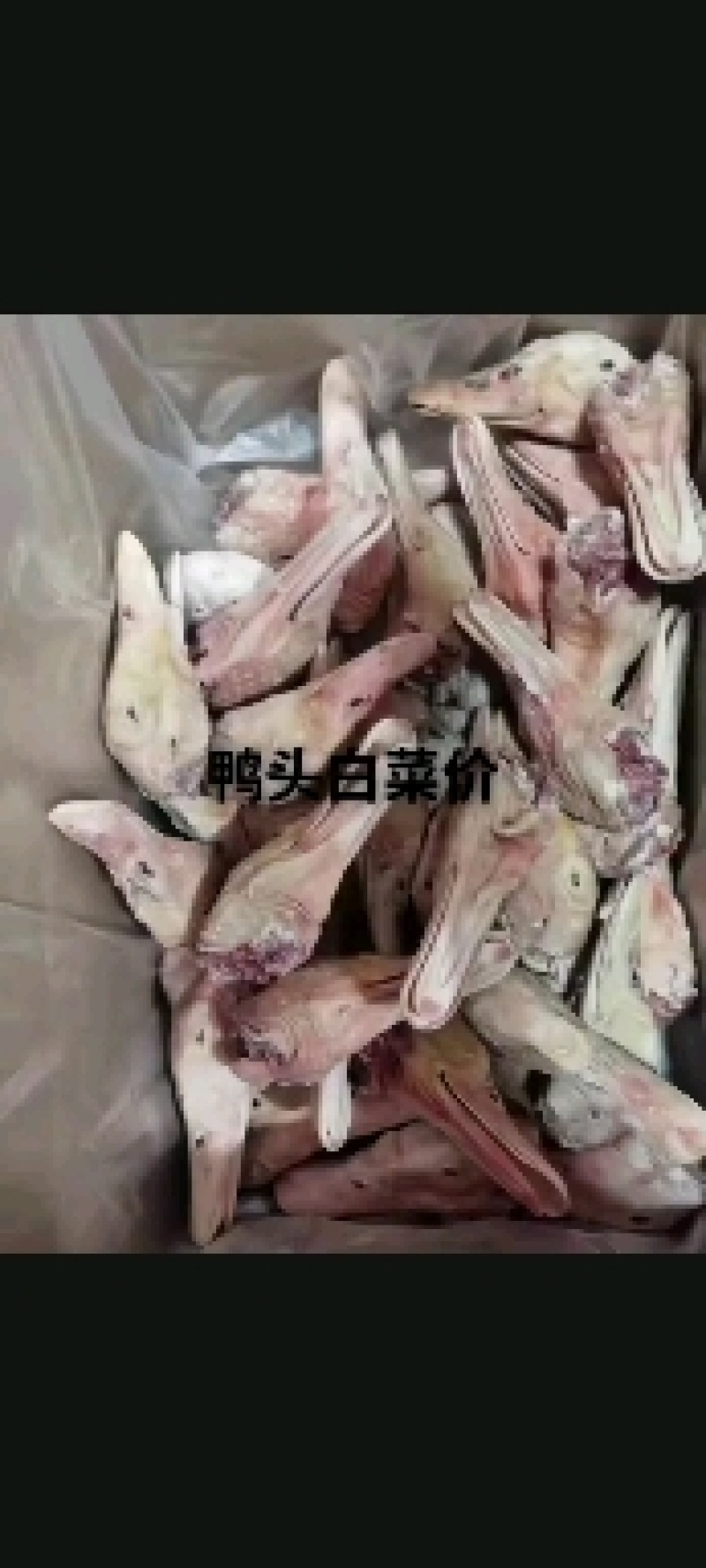 精品带舌鸭头番鸭头新开检疫厂家直销量大优惠手续齐全