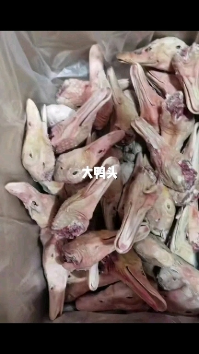 精品带舌鸭头番鸭头新开检疫厂家直销量大优惠手续齐全