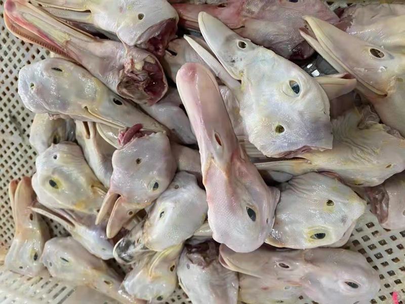 精品带舌鸭头番鸭头新开检疫厂家直销量大优惠手续齐全