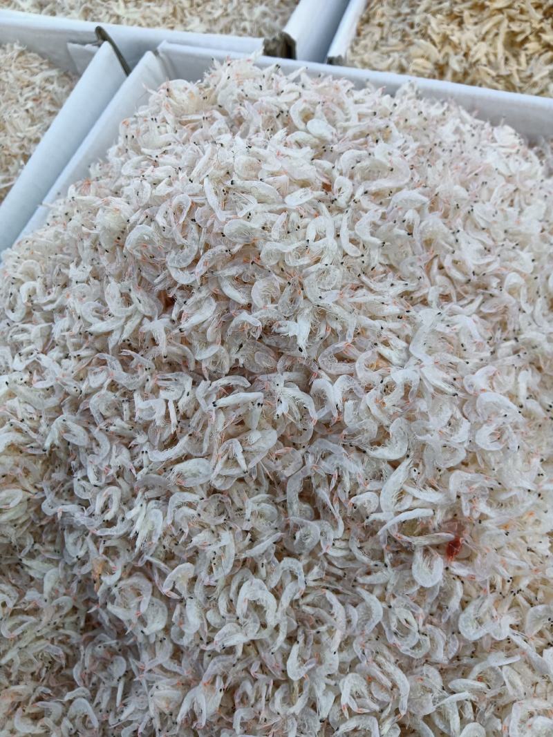 无盐淡干虾皮，一手货源！货源充足！量大优惠！不包邮