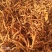 庆阳黄花菜干货农家自产无硫金针菜新货
