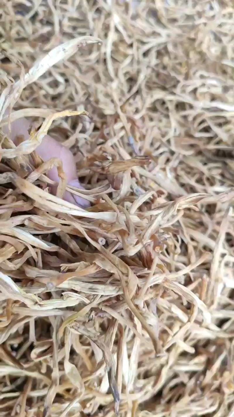 庆阳黄花菜干货农家自产无硫金针菜新货