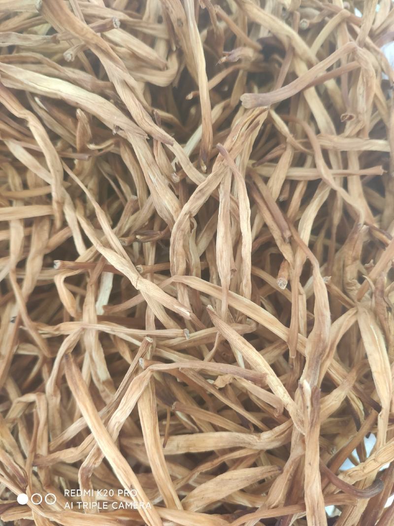 庆阳黄花菜干货农家自产无硫金针菜新货