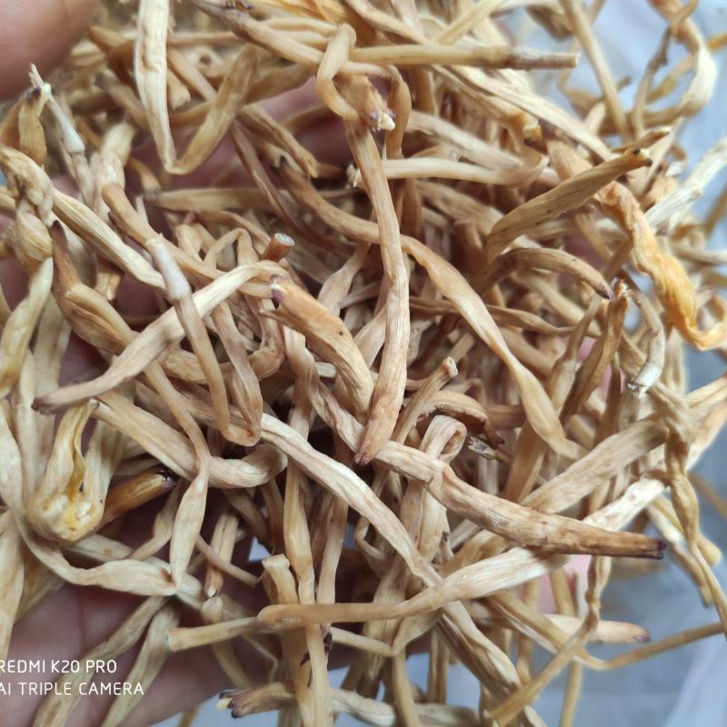 庆阳黄花菜干货农家自产无硫金针菜新货