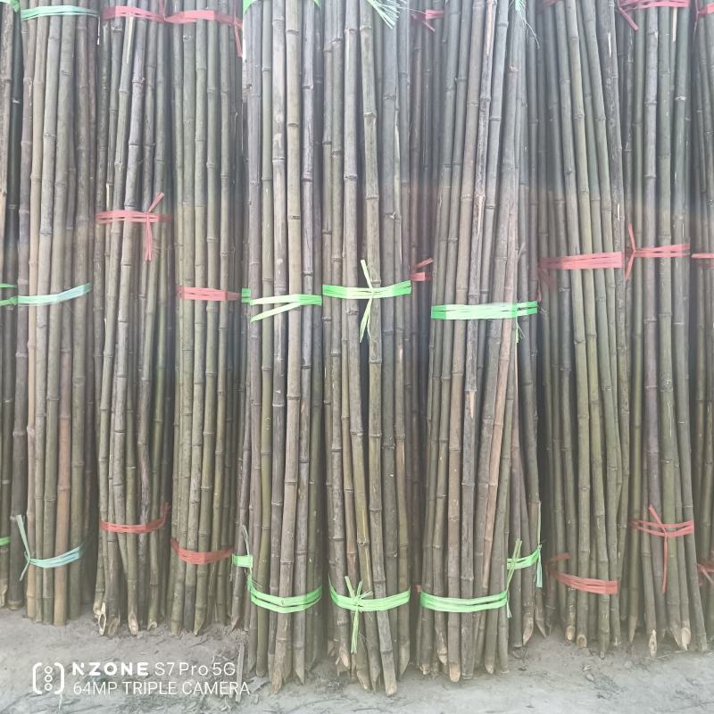 产地经销大棚竹干！山药网架！豆角架！东瓜架！