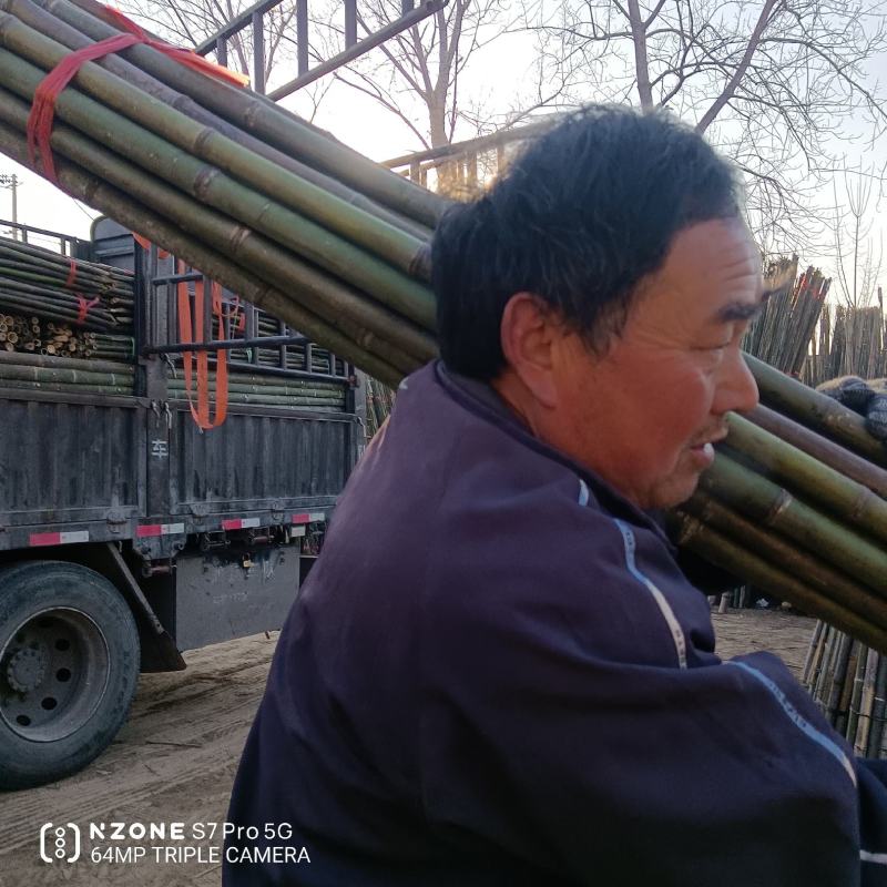 产地经销大棚竹干！山药网架！豆角架！东瓜架！