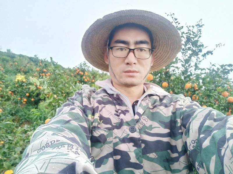 云南沃柑化渣甘甜高山精品沃柑，一件发货