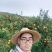 云南沃柑化渣甘甜高山精品沃柑，一件发货