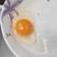 11个一斤精品粉壳土鸡蛋新杨黑双色增香常年稳定供应