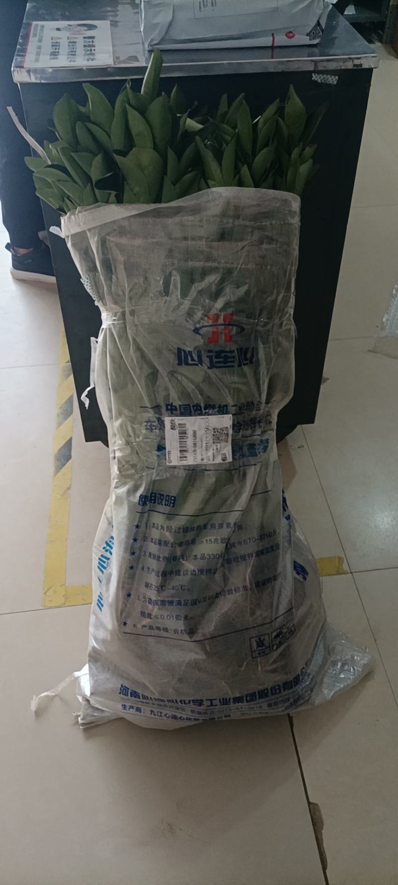 纽荷尔脐脐橙苗，大量有货，量大从优，欢迎您的光临
