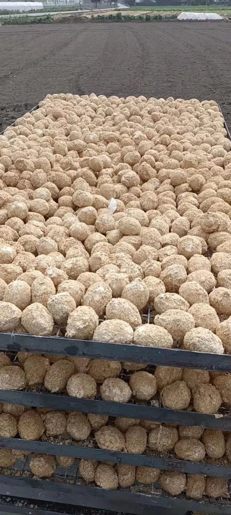 松花皮蛋，鸭皮蛋，鸡皮成都现货，每件140个，保证质量，