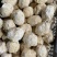 松花皮蛋，鸭皮蛋，鸡皮成都现货，每件140个，保证质量，