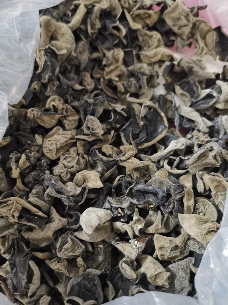 神农架秋黑木耳一级单片厚中耳1.5左右