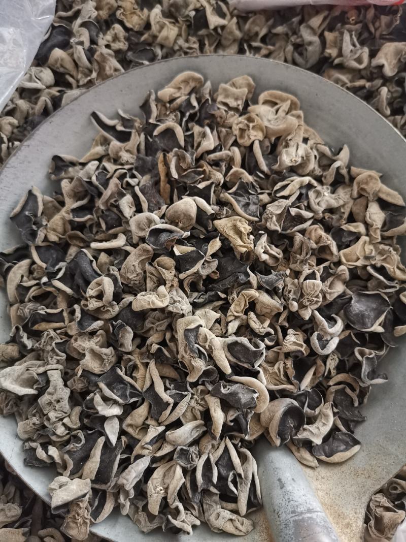 神农架秋黑木耳一级单片厚中耳1.5左右