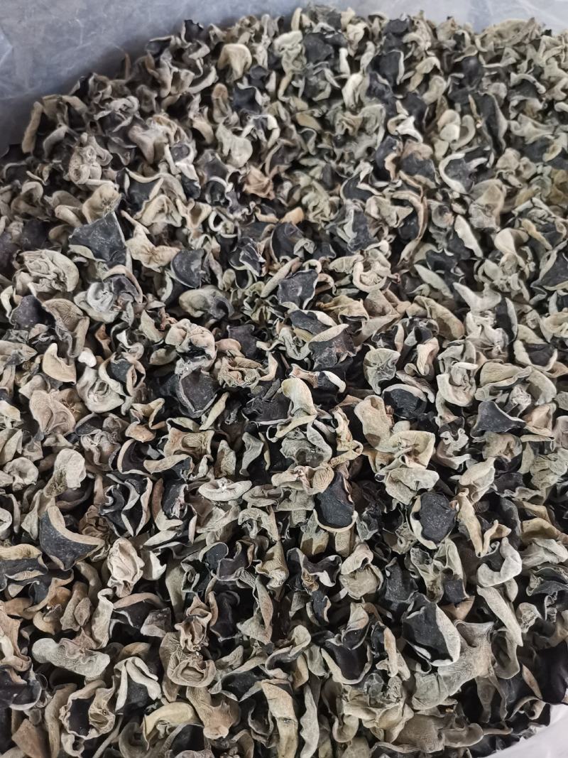 神农架秋黑木耳一级单片厚中耳1.5左右