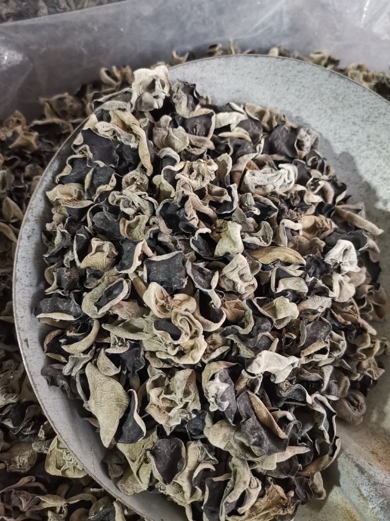 神农架秋黑木耳一级单片厚中耳1.5左右