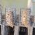 新鲜活海参养殖基地大量出货，有需要的朋友联系我