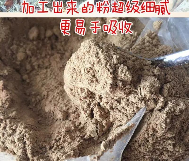吉林梅花鹿鹿胎！烘干鹿胎！可免费打粉！
