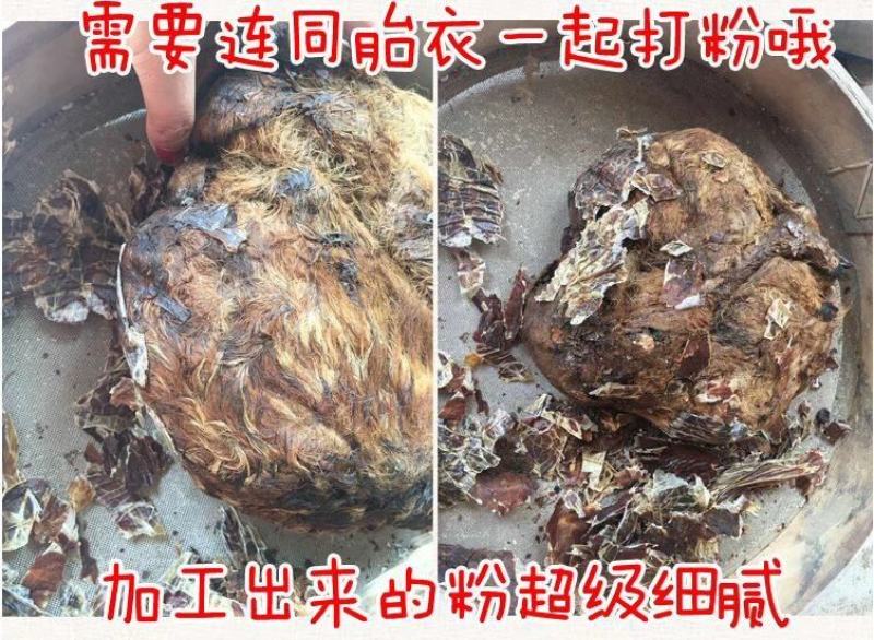 吉林梅花鹿鹿胎！烘干鹿胎！可免费打粉！