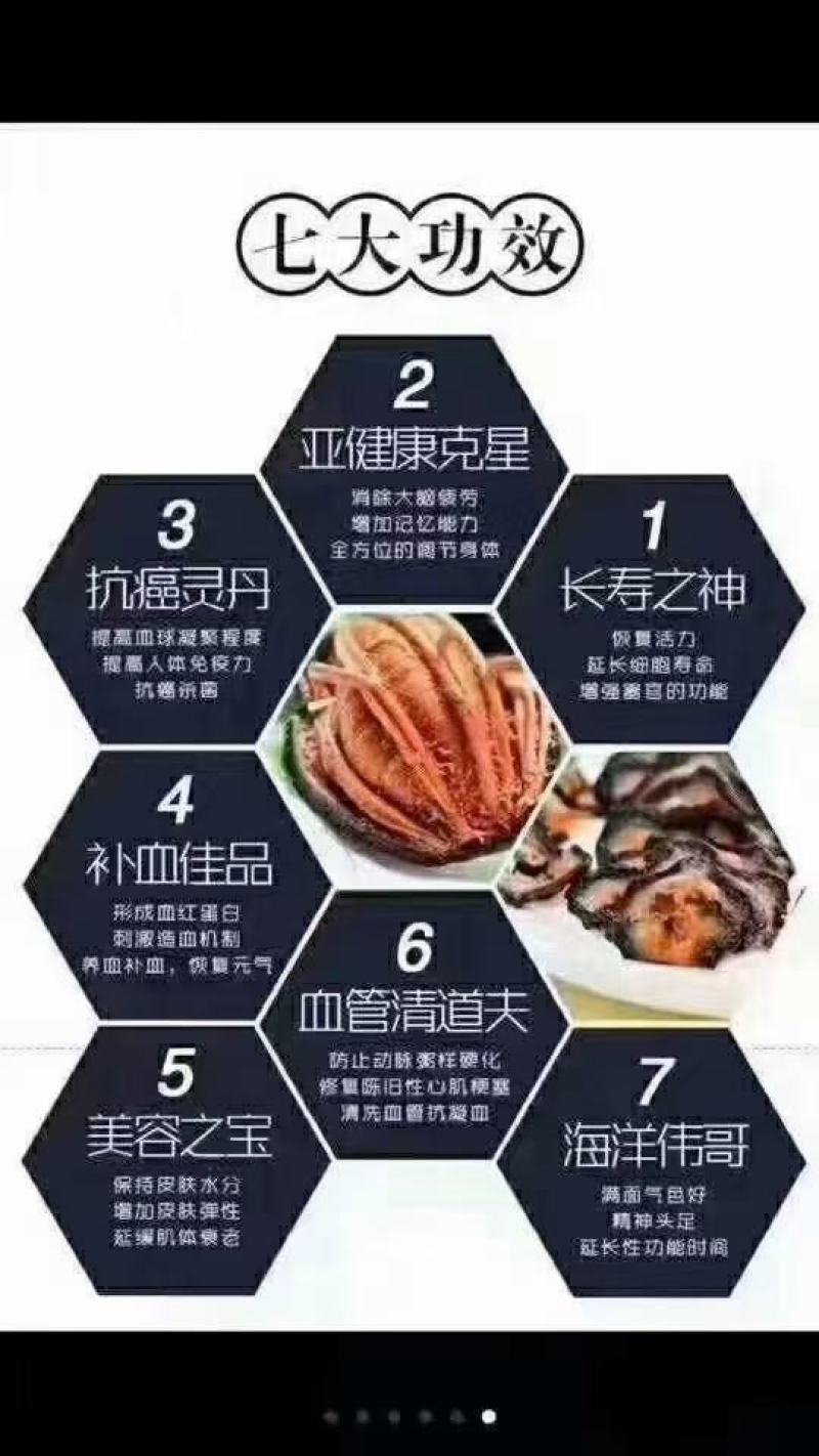 北极红参，，老百姓吃得起的海参，三证齐全，量大价优。