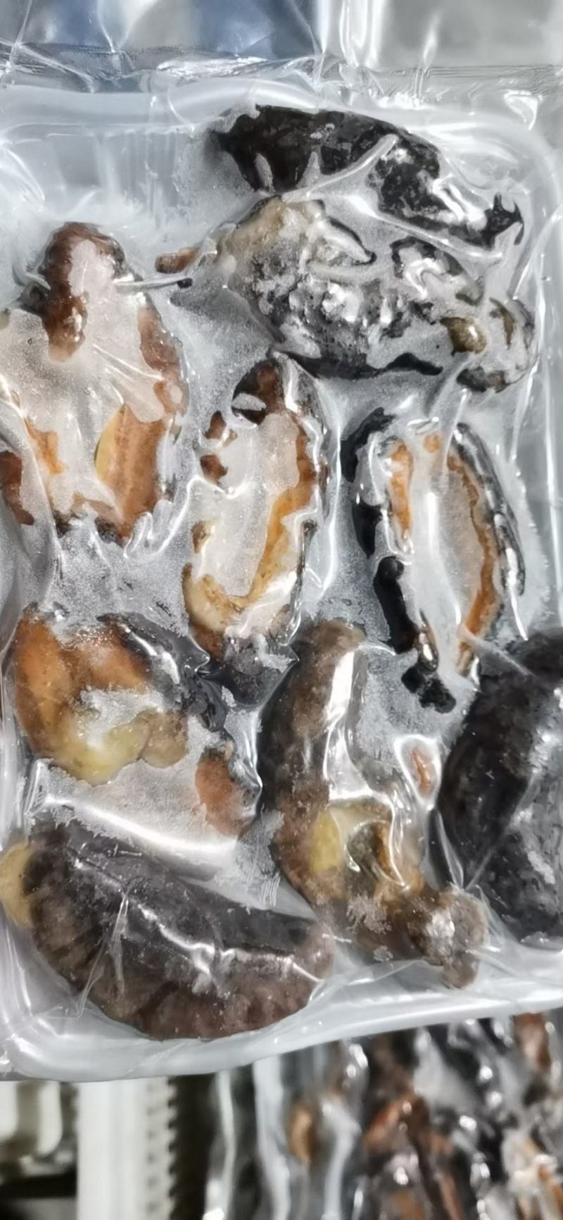 北极红参，，老百姓吃得起的海参，三证齐全，量大价优。