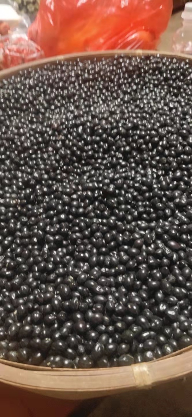 云南优质山豆根种子颗粒饱满苦参种子提供种植技术药材