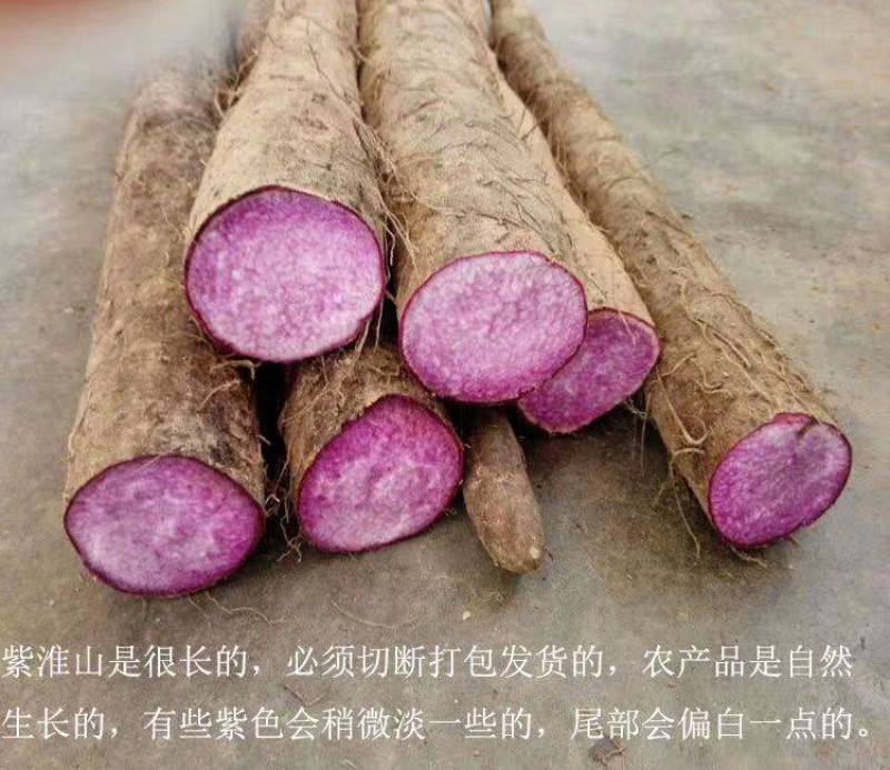 山药紫色山药现挖现卖紫山药新鲜紫山药花青素山药包邮