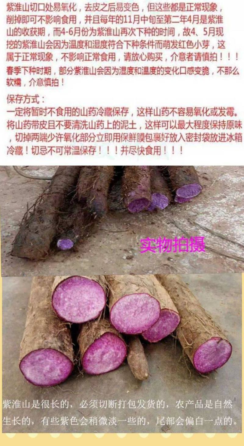 山药紫色山药现挖现卖紫山药新鲜紫山药花青素山药包邮