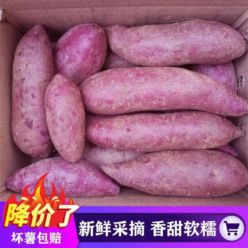 【香甜粉糯】沙地新鲜紫薯番薯净重9斤批发多省包邮免运费
