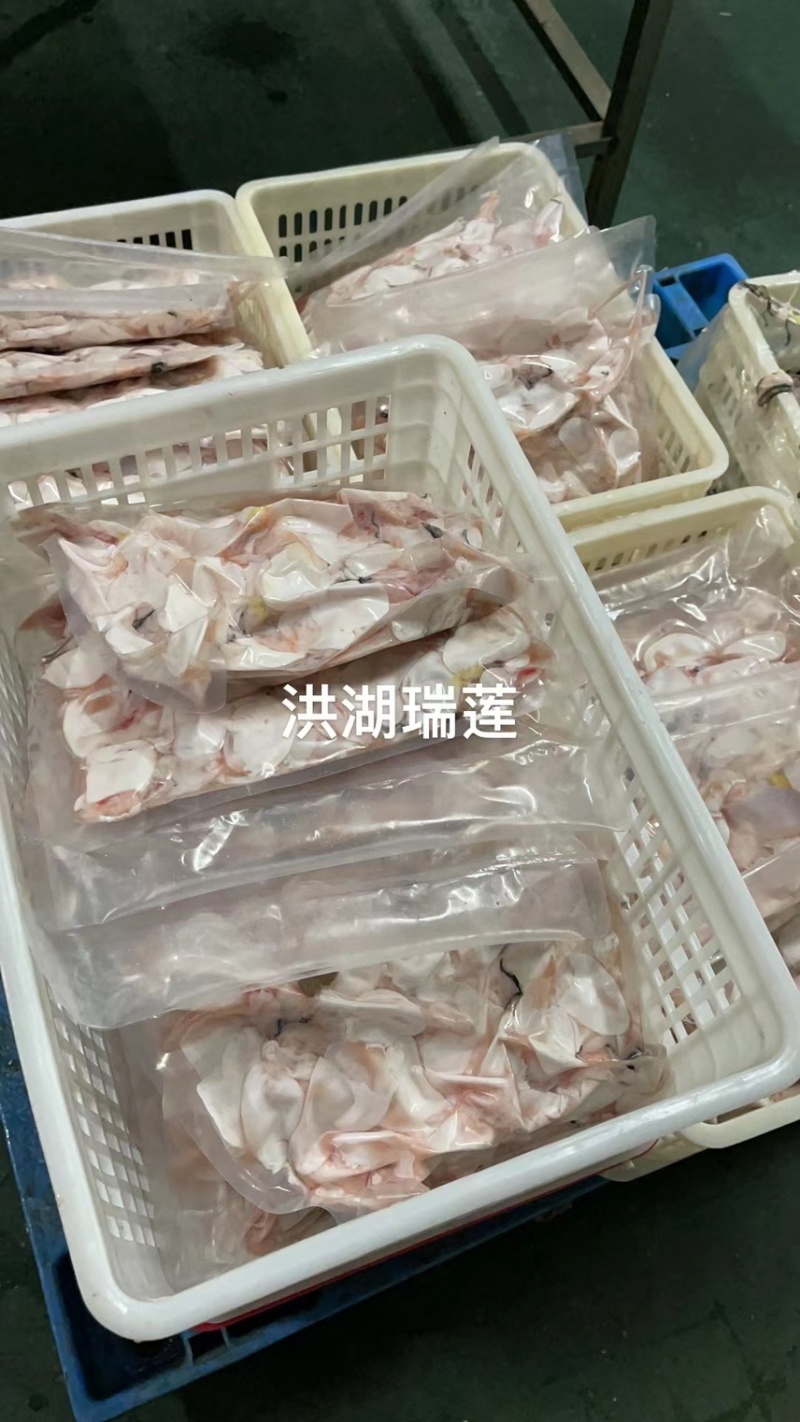 鲜白鲢鱼泡真空2斤装鱼肚工厂直发货源稳定供酒店