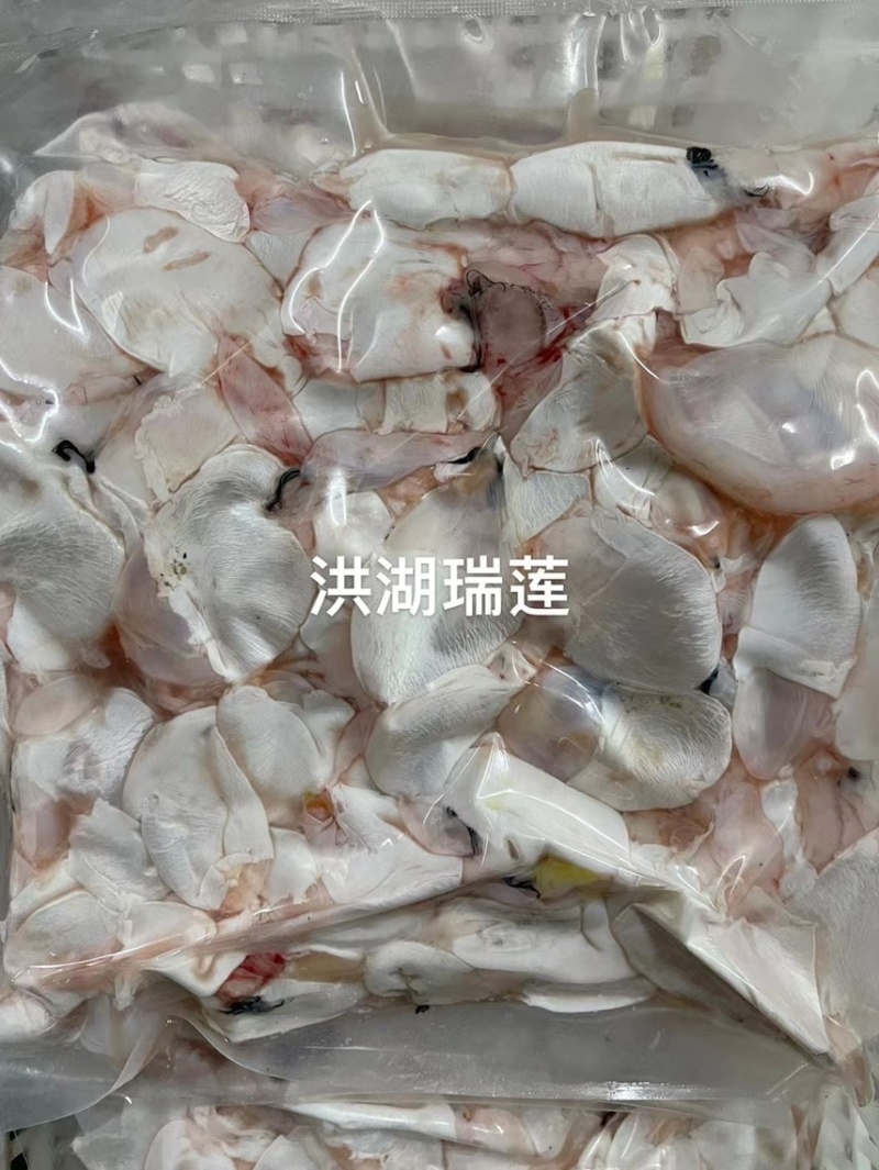 鲜白鲢鱼泡真空2斤装鱼肚工厂直发货源稳定供酒店