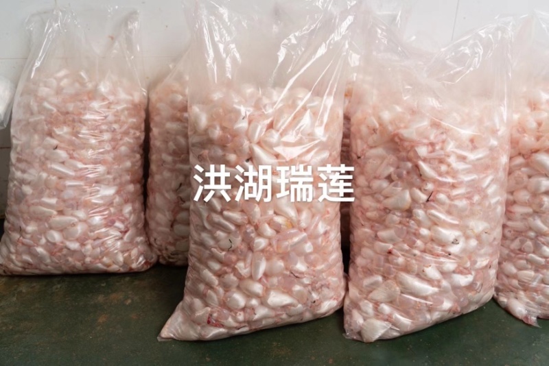 【稳定供货】白鲢鱼泡鱼肚鲜鱼鳔工厂直发对接餐饮