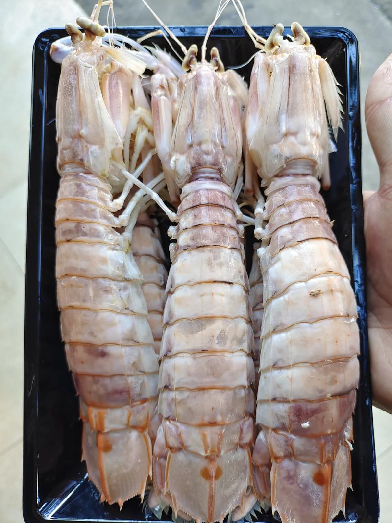 【皮皮虾】精品个个肉满，高品质，批发零售。社区团购，酒店
