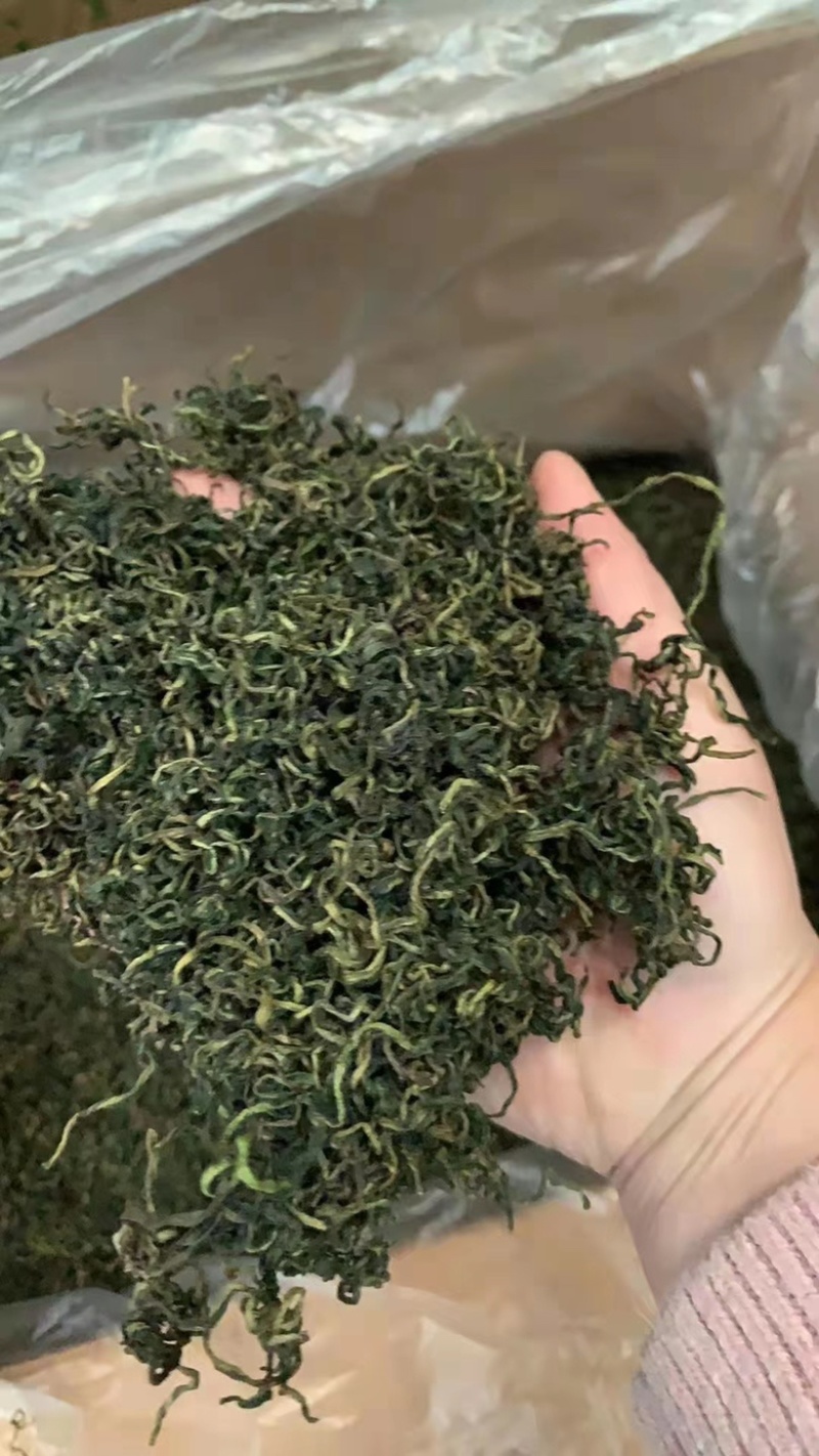 浦公英茶，泡水喝，一件30斤，成都库房现货一手货源