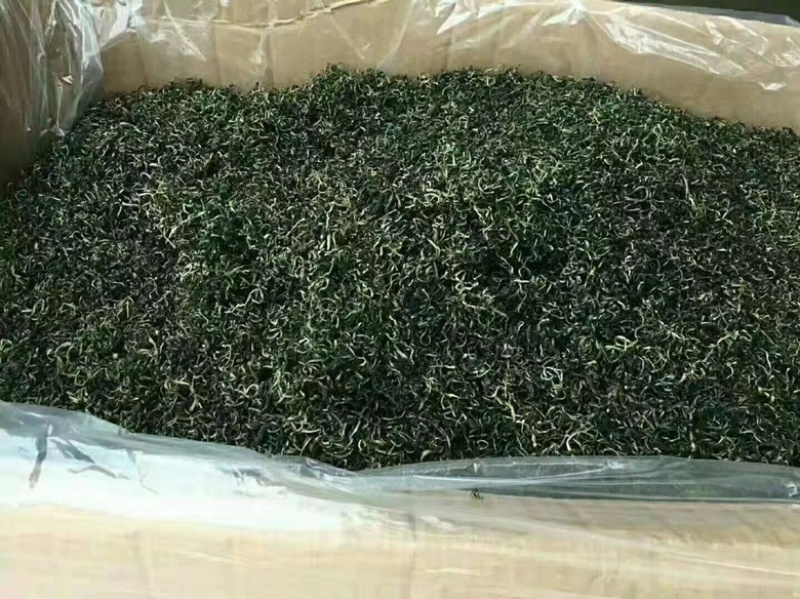 浦公英茶，泡水喝，一件30斤，成都库房现货一手货源