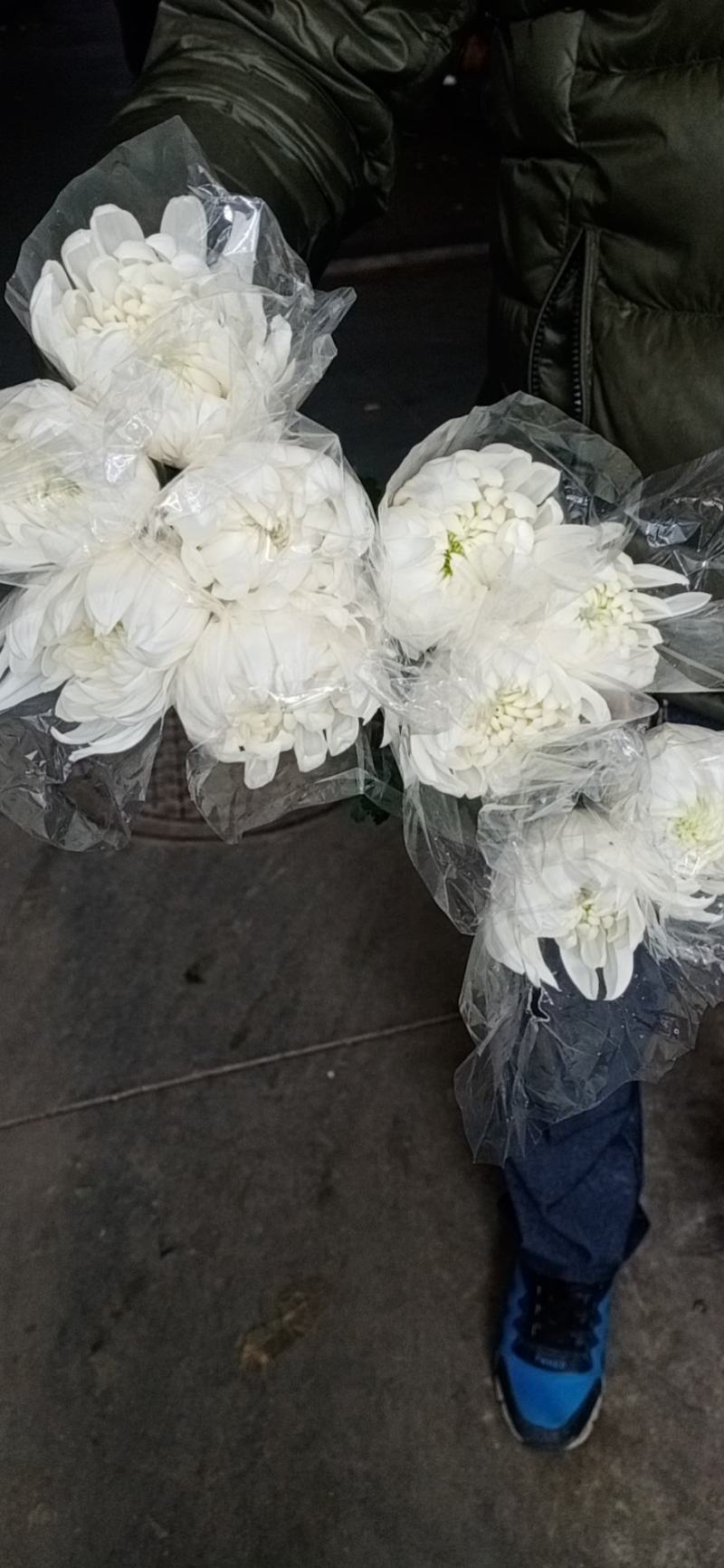 广州清明菊花黄，白单头菊花基地直销。现釆现卖，质量保证
