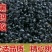 长白山黑蚂蚁中药材泡酒煲汤养生营养丰富（干货包邮）