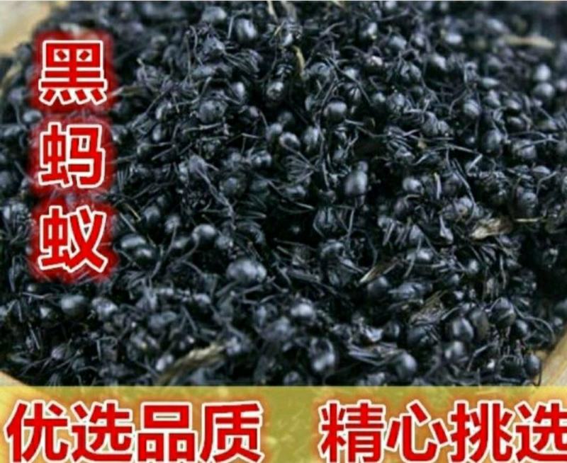 长白山黑蚂蚁中药材泡酒煲汤养生营养丰富（干货包邮）